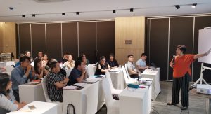 Tools and support materials for PPST-based RPMS (Year 2) pilot-tested, fine-tuned